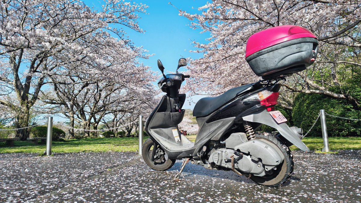 パノ（東屋） tweet media