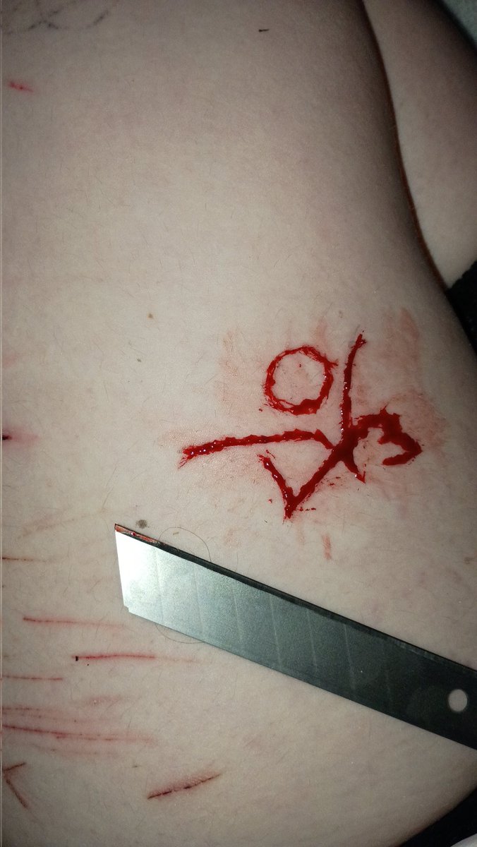 STAR of shedtwt tweet media