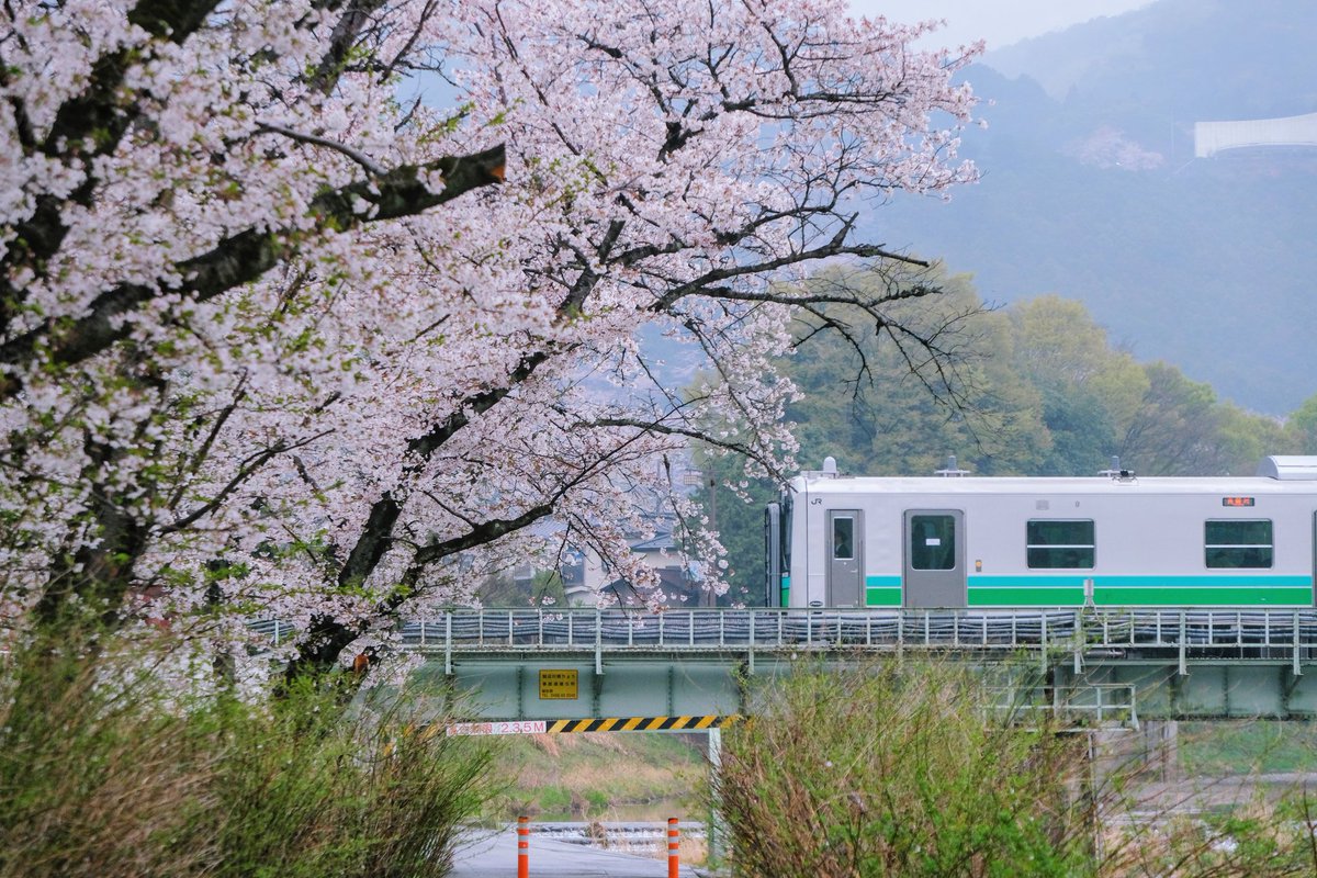 あさかみやび tweet media