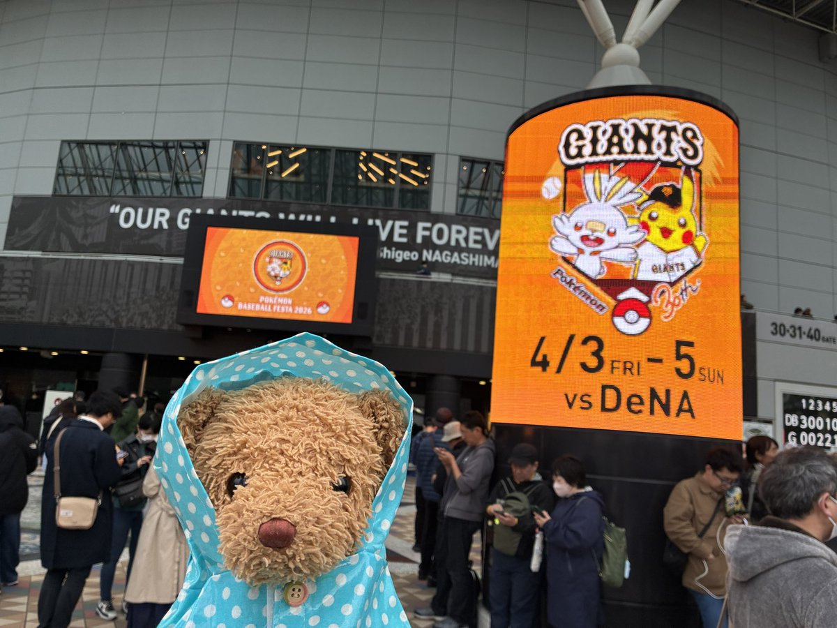 kumakuntraveler's tweet image. きのうはあめふりのなか、とーきょーどーむいったよ🐻✨すんごいひといっぱいだったよ🐻💦めずらしくごでぃばでくれーぷなんてかってくれたよ🐻#ぬいぐるみ #ぬい撮り #teddybear 
 #rテディベア #後楽園 #東京ドーム #ポケモンベースボールフェスタ #GODIVA #クレープ