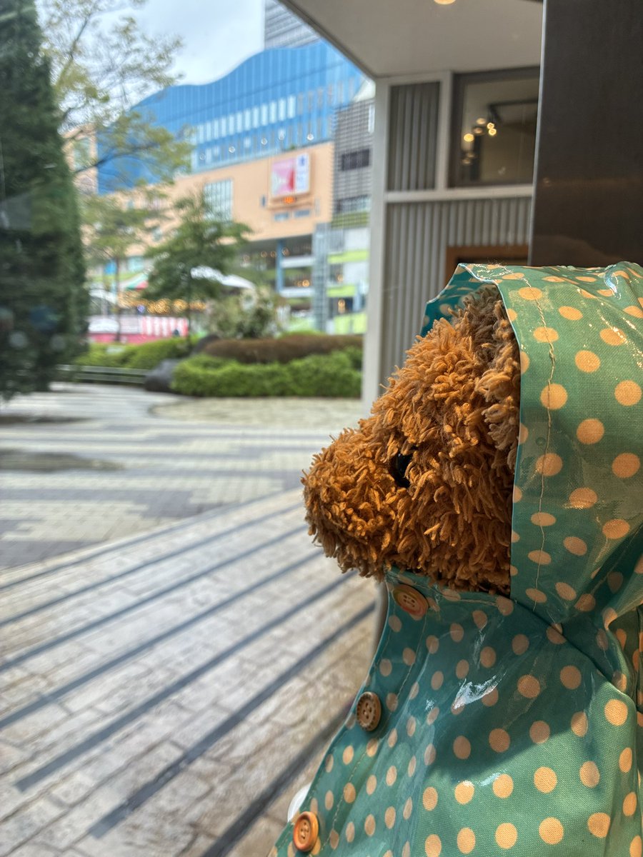 kumakuntraveler's tweet image. きのうはあめふりのなか、とーきょーどーむいったよ🐻✨すんごいひといっぱいだったよ🐻💦めずらしくごでぃばでくれーぷなんてかってくれたよ🐻#ぬいぐるみ #ぬい撮り #teddybear 
 #rテディベア #後楽園 #東京ドーム #ポケモンベースボールフェスタ #GODIVA #クレープ