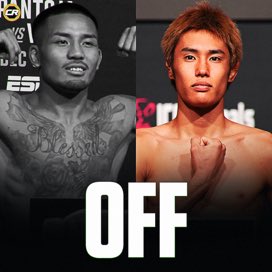 Little ank folded in 90 seconds🇵🇸 tweet media