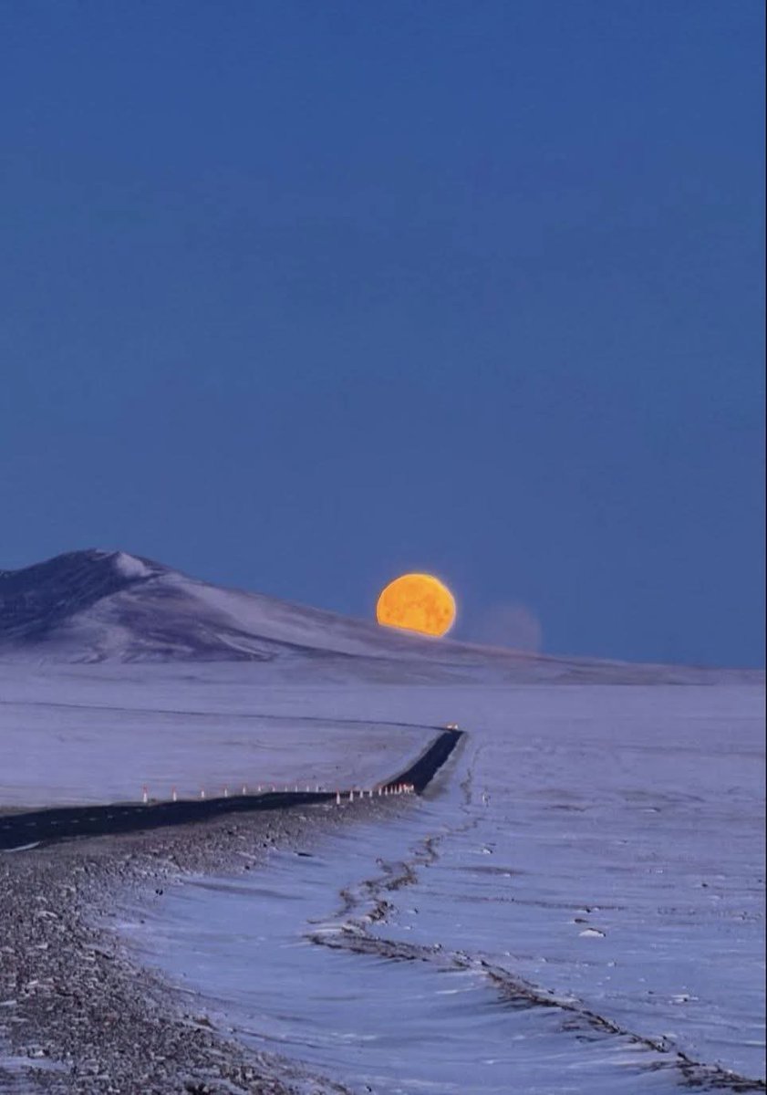 𝕾'𝖙 𝕮𝖔𝖔𝖑𝖎𝖔 💎 tweet media