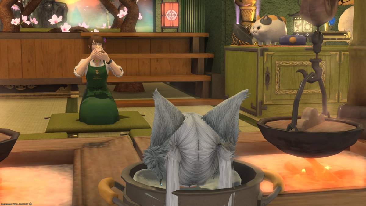 いえのねこ tweet media