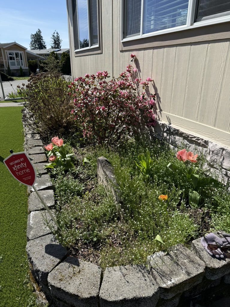 Carlie Jo tweet media