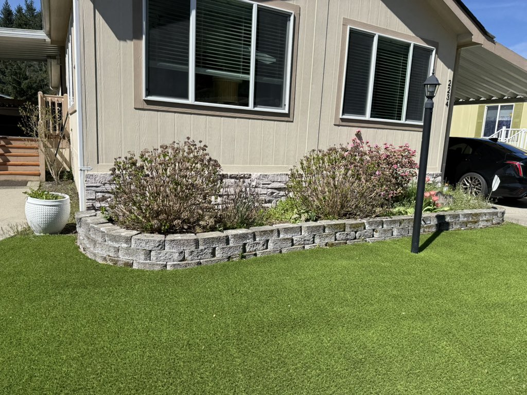 Carlie Jo tweet media