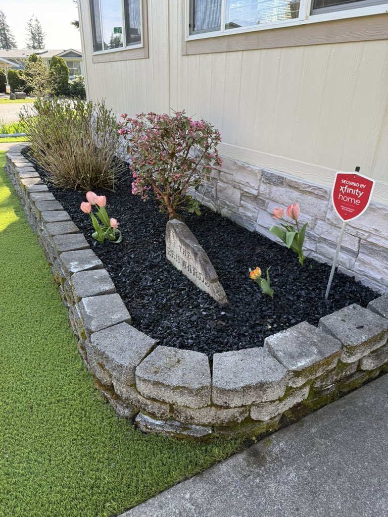 Carlie Jo tweet media