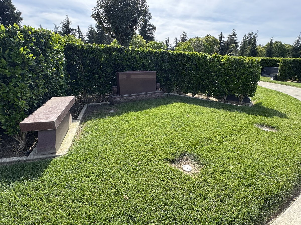 Traveler tweet media