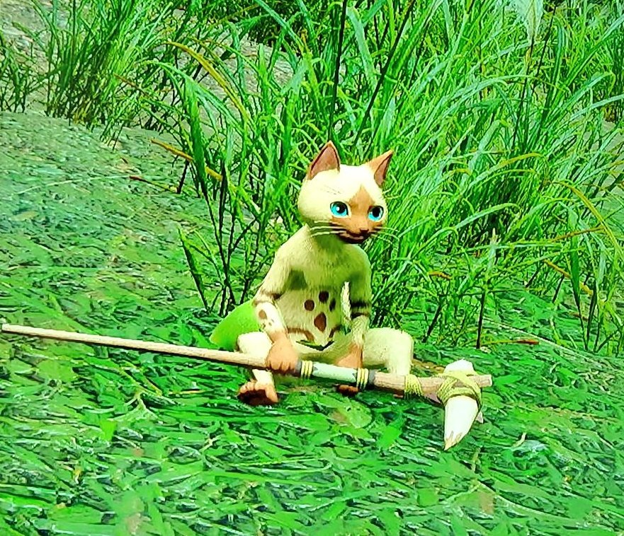 さくみゆ(^o^)(紅茶花伝ランサー) tweet media