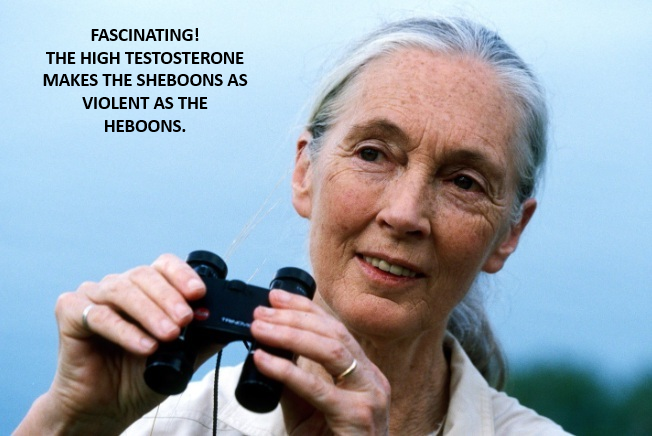 Sujong An tweet media