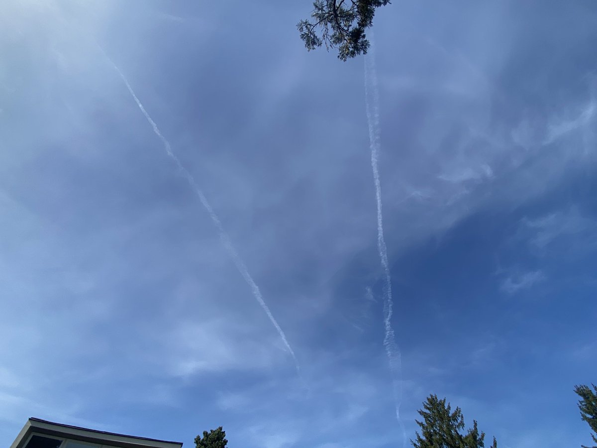 Rebekah81USA🇺🇸 tweet media