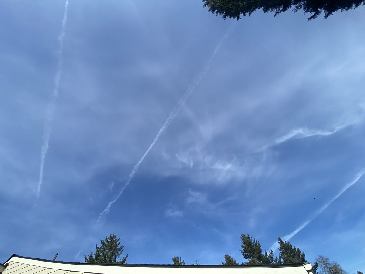 Rebekah81USA🇺🇸 tweet media