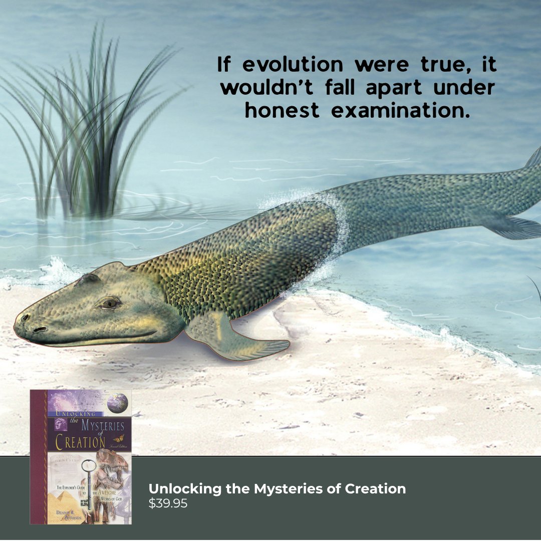 Creation Today tweet media