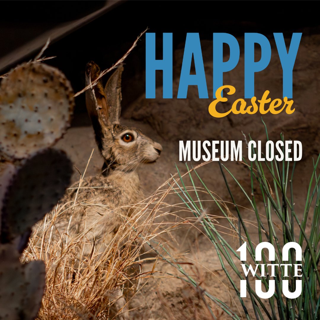Witte Museum ~ Nature, Science & Culture tweet media