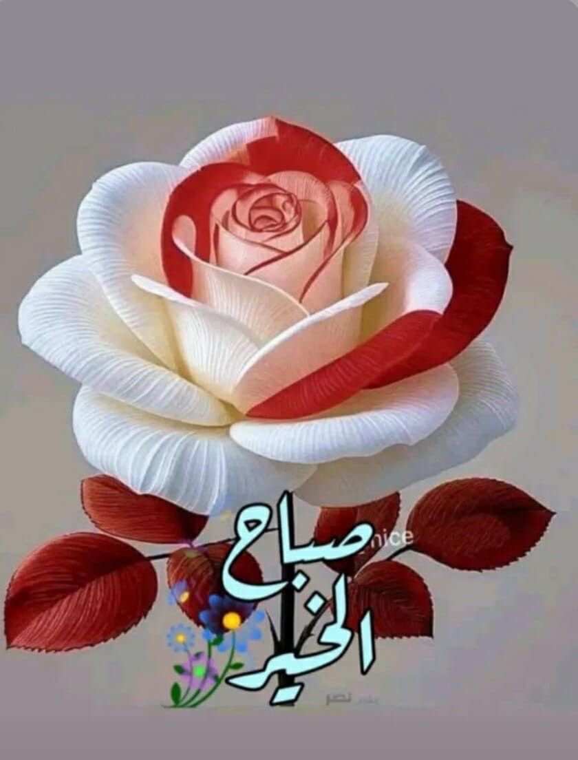 ابو محمد tweet media