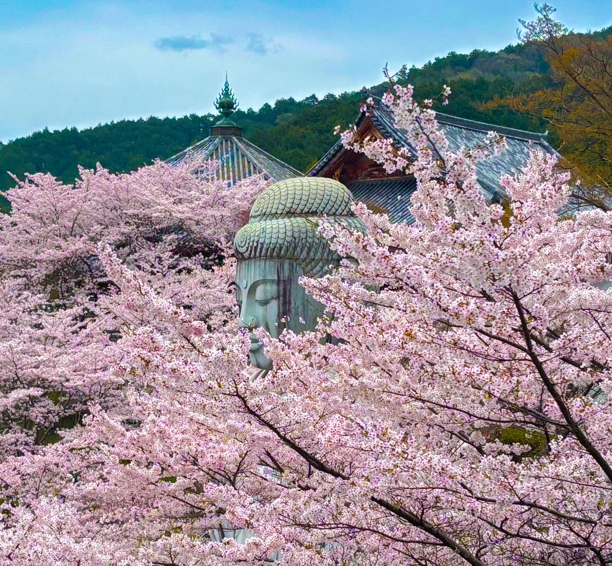 たびぼっち🏕車中泊＆キャンパー tweet media