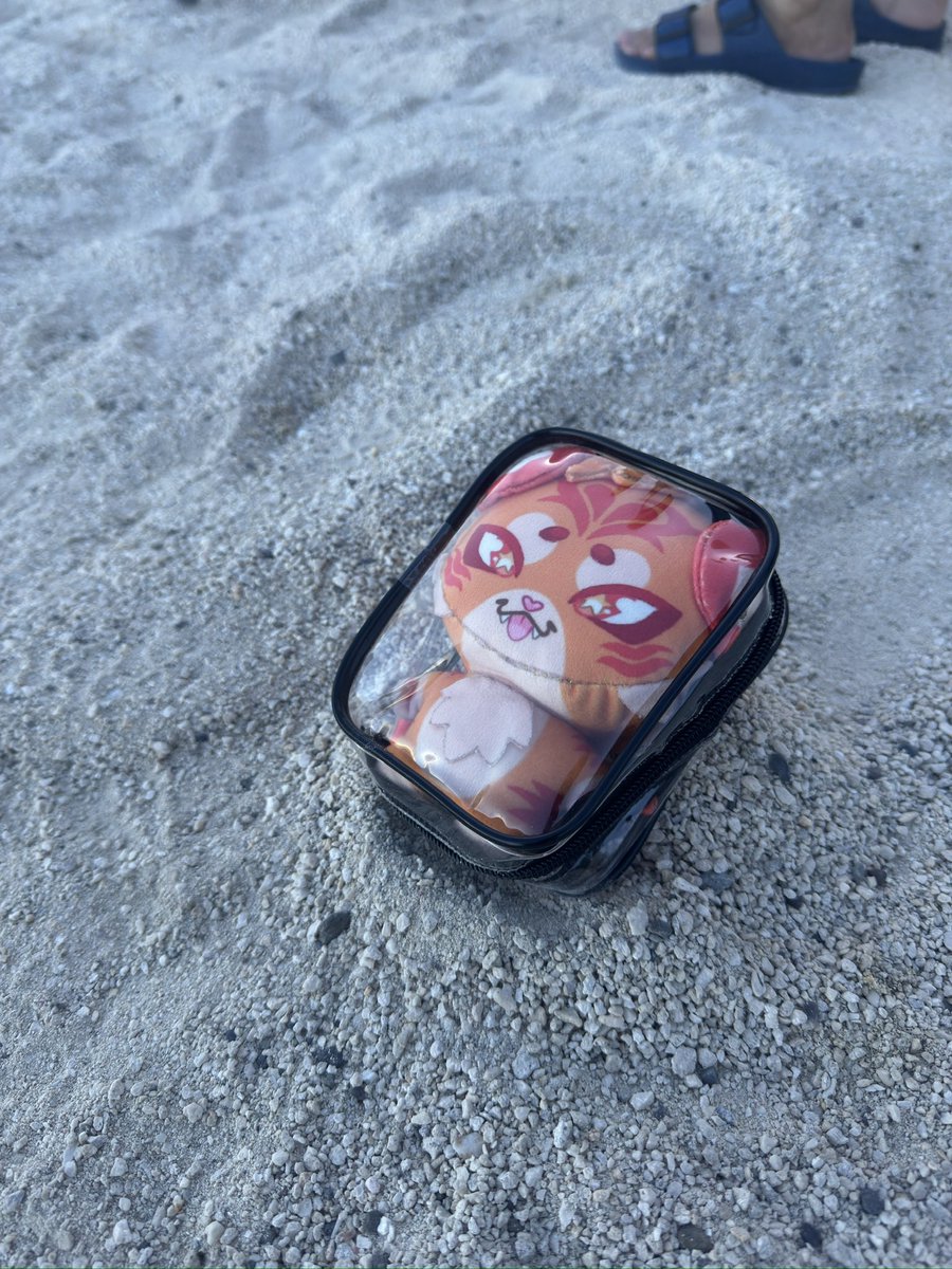 Riku! (ceph) tweet media