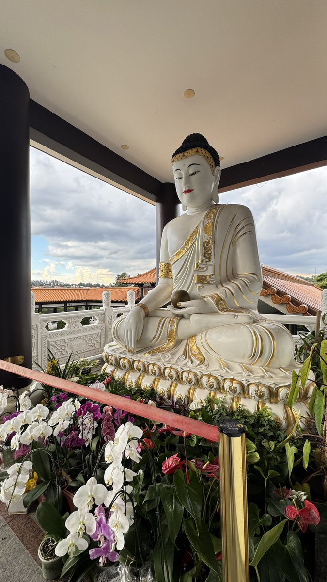 ✨Heloísa 👩🏼‍🏫✨📍Jardins📍 tweet media