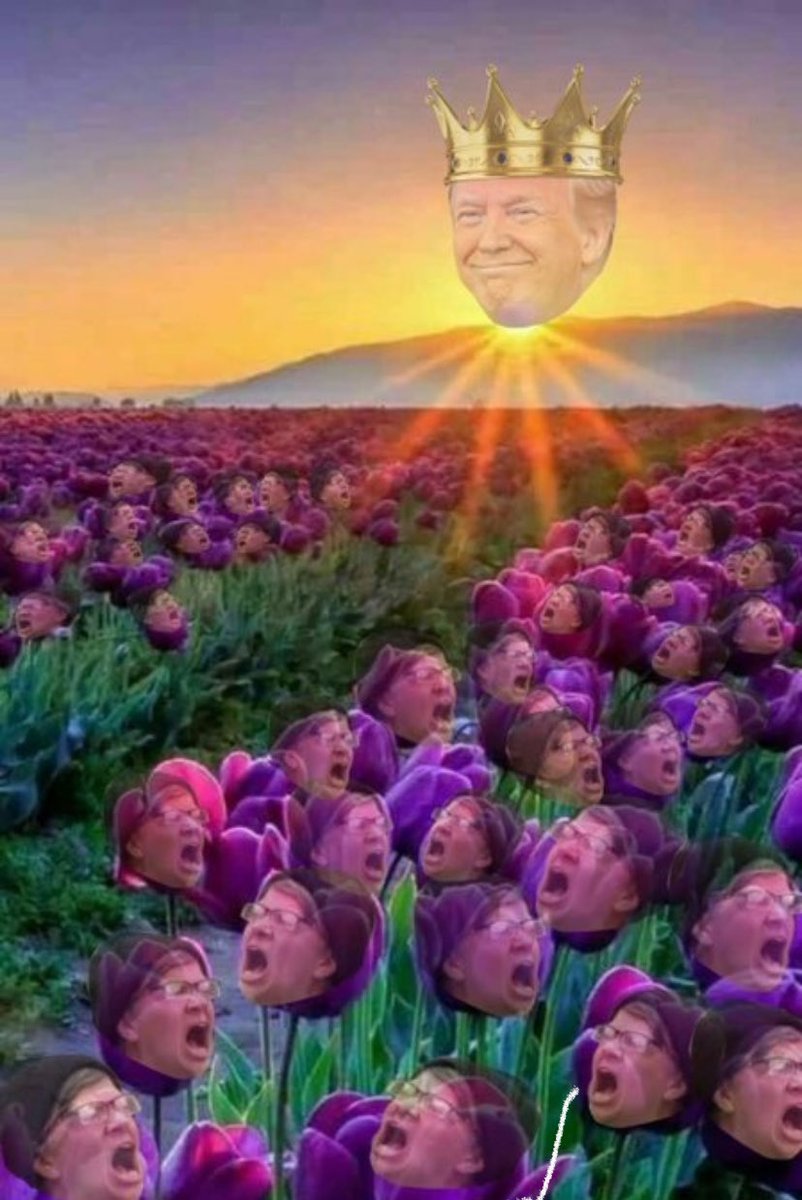 Groyper Hunter tweet media