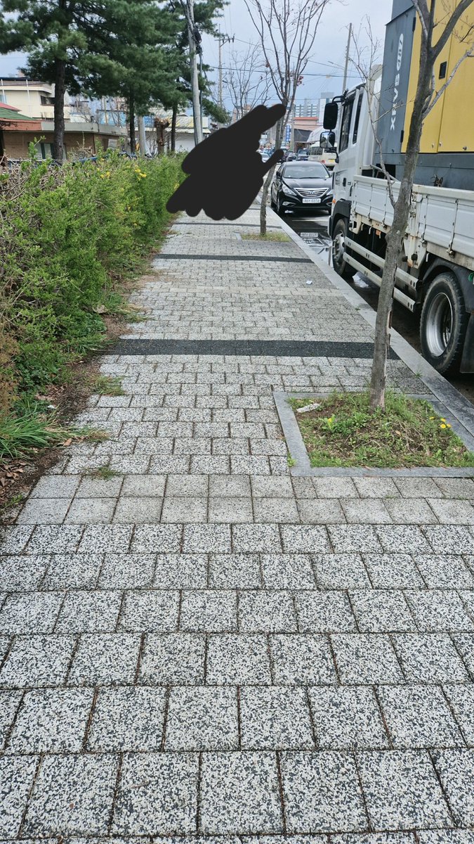 arumdree tweet media