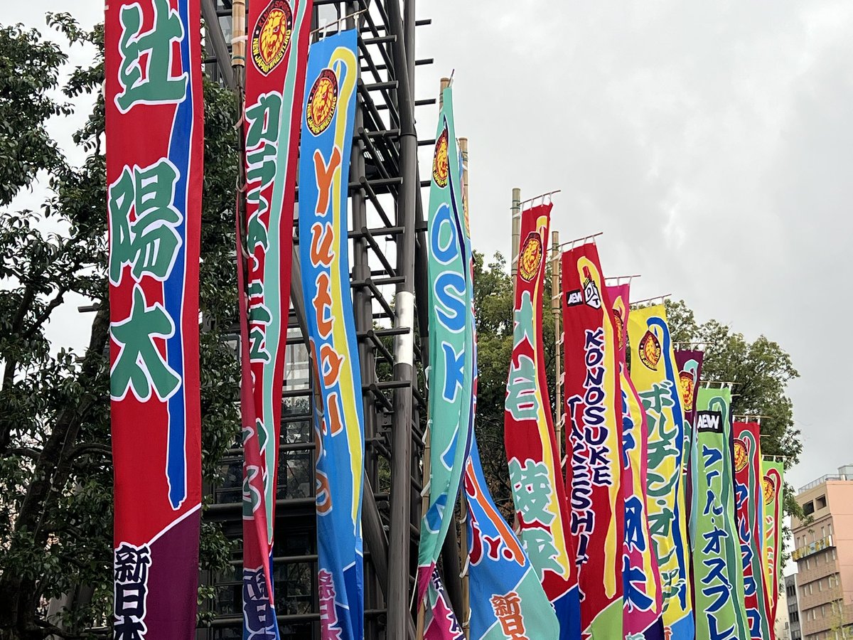 泉井弘之介　KOUNOSUKE IZUI tweet media