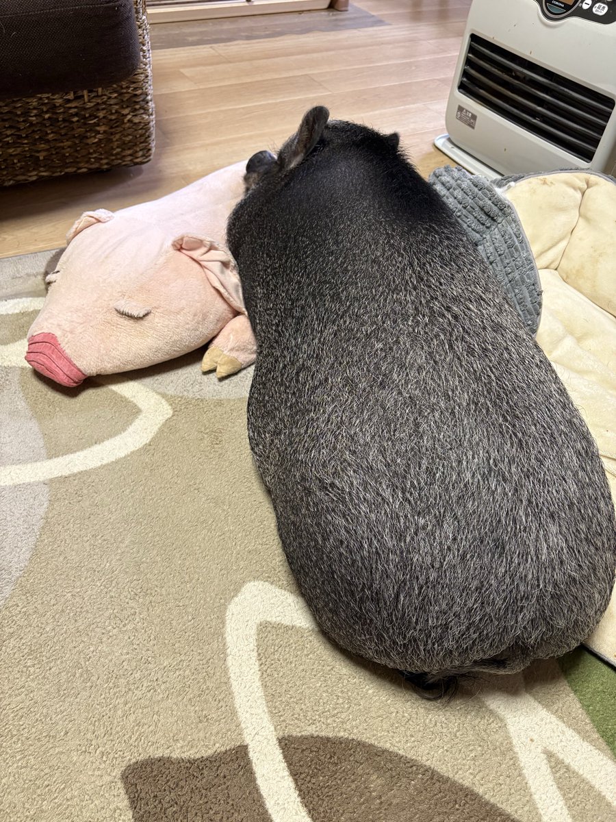 handmade Life tweet media