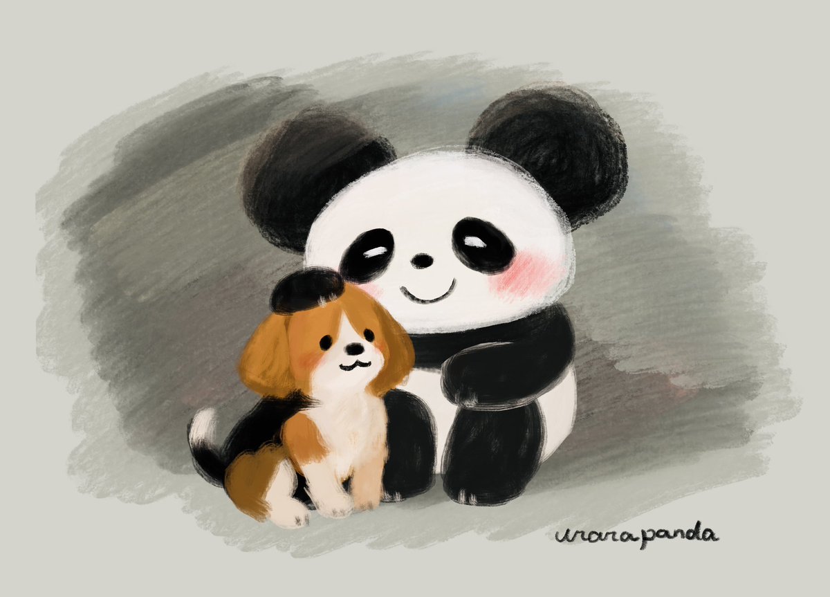 うららぱんだ🐼 tweet media