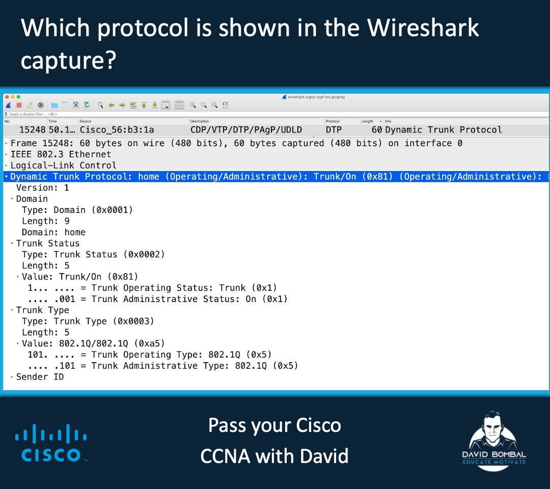 David Bombal tweet media