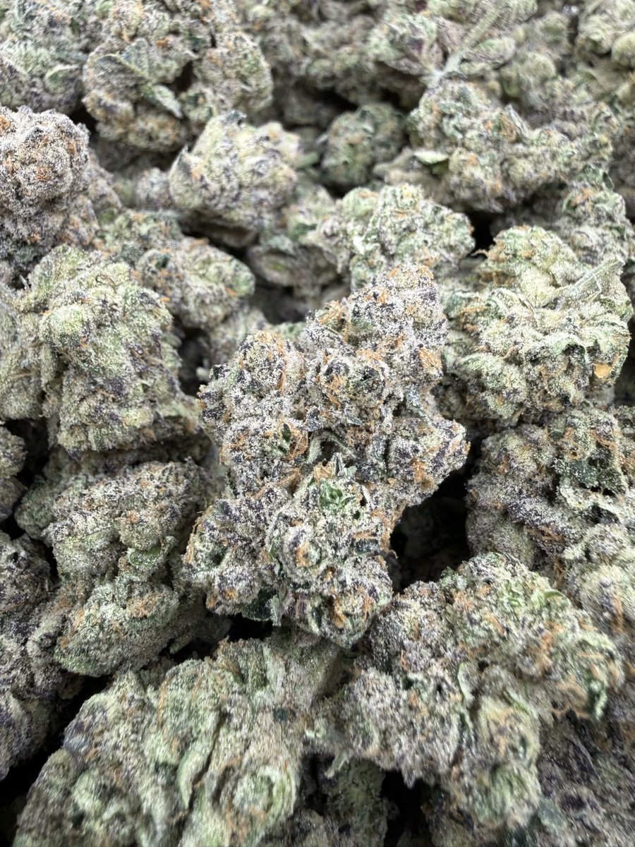 Neptune Seed Bank tweet media