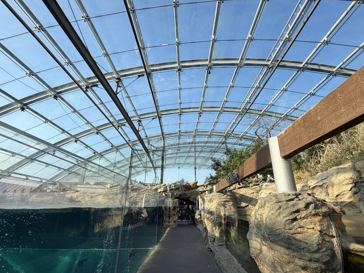 ままつこ tweet media