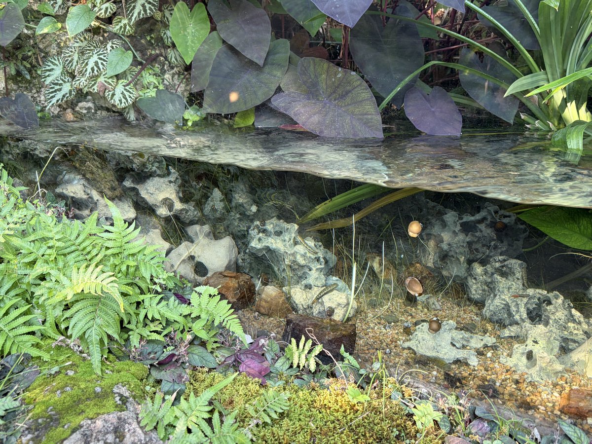 ままつこ tweet media