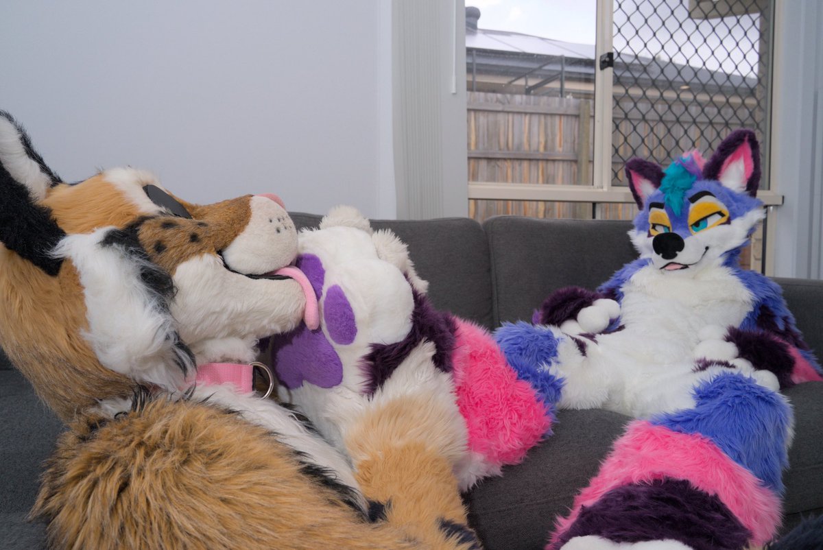 ranger 🐶 tweet media