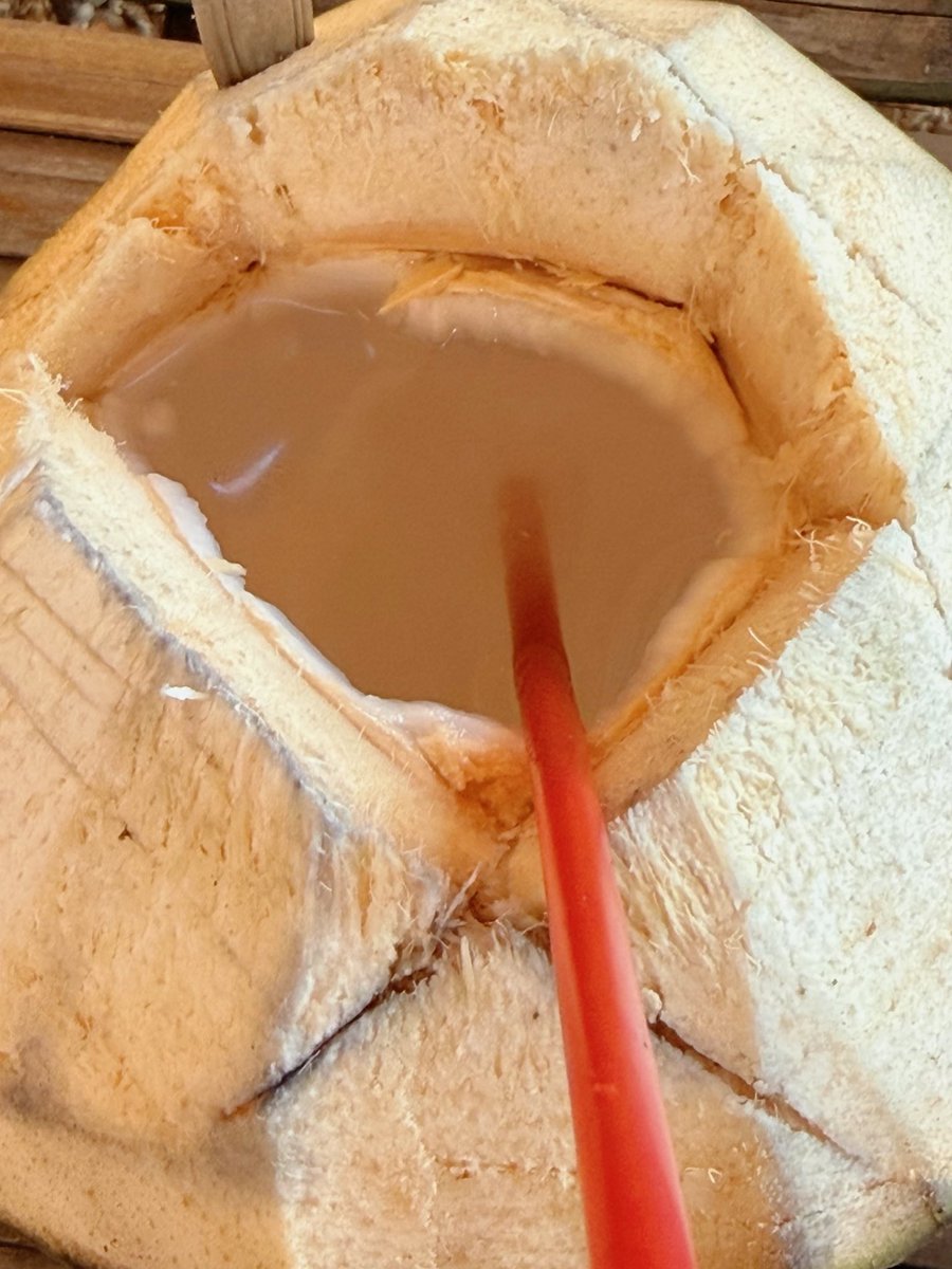 teapertwo's tweet photo. 🏝️🥥 https://t.co/y1kPLBKkkp