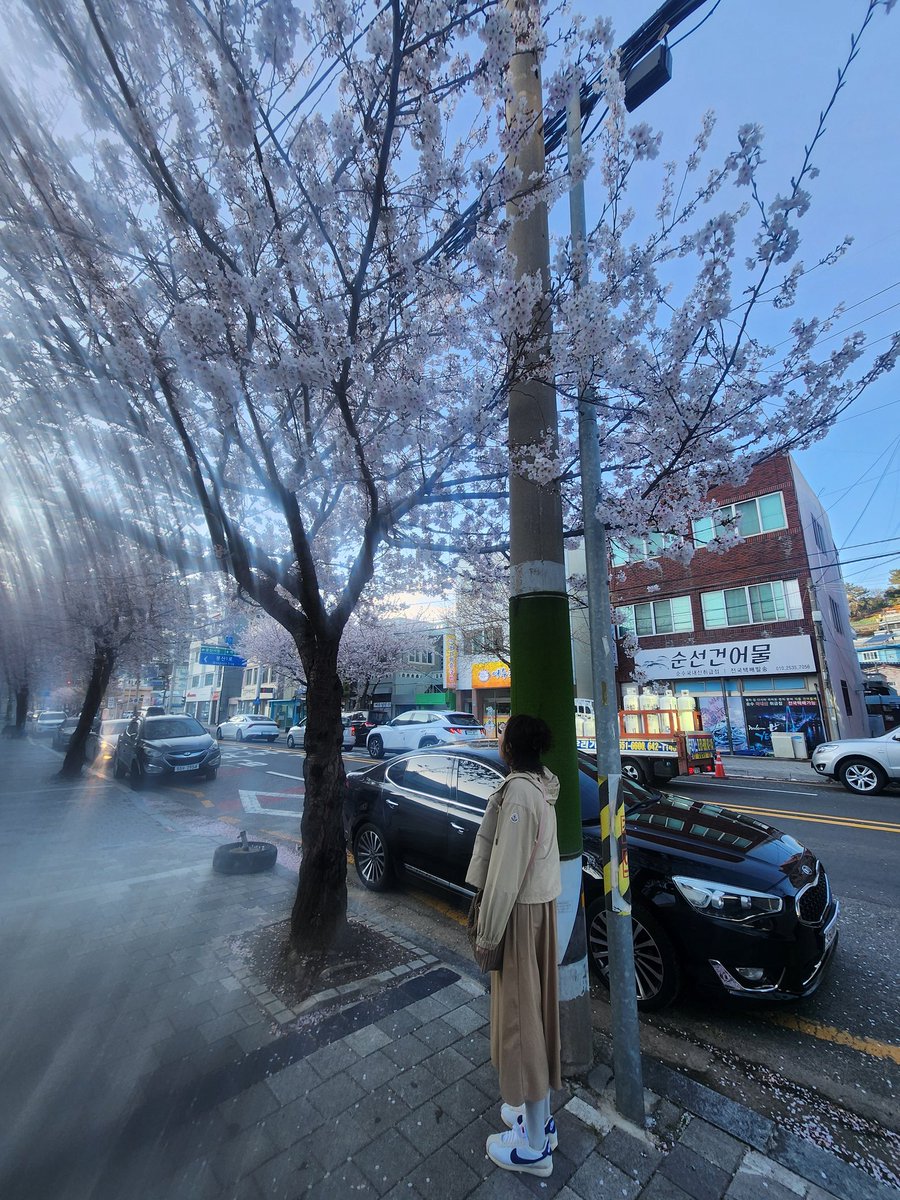 대구 자동문 걸레년 tweet media