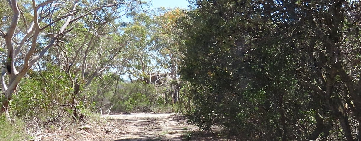 Lithgow Environment tweet media