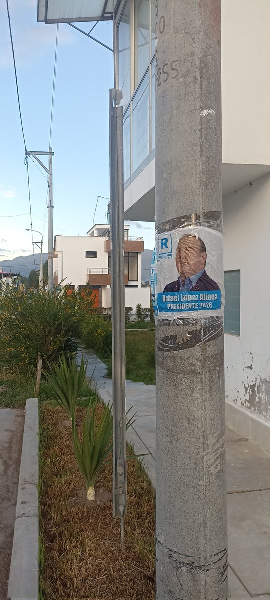 El Porkysta 🇵🇪 tweet media