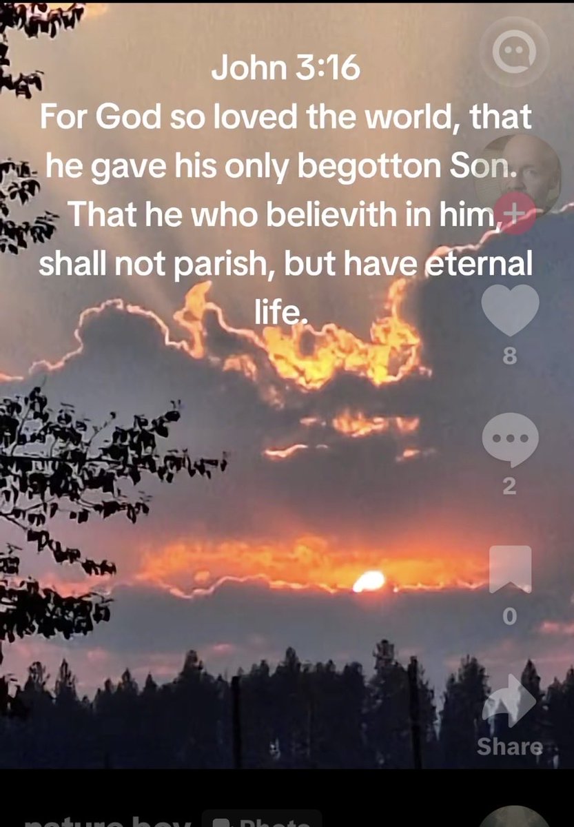 Nutmegbunny tweet media