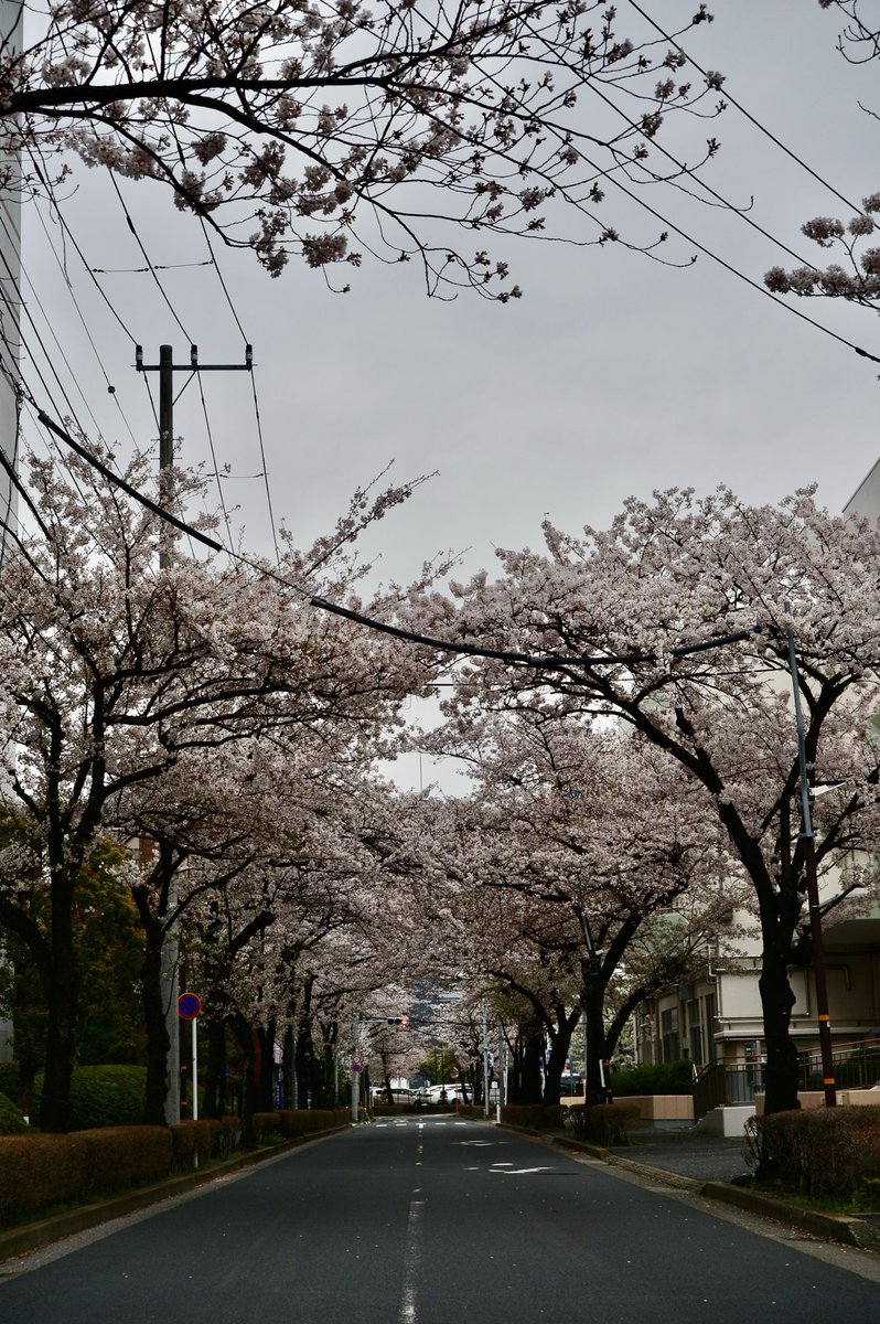 高橋　Big fish tweet media