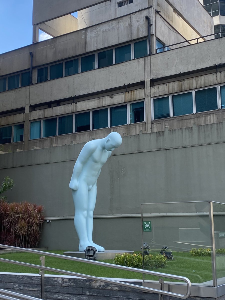 ESTRELA™ tweet media