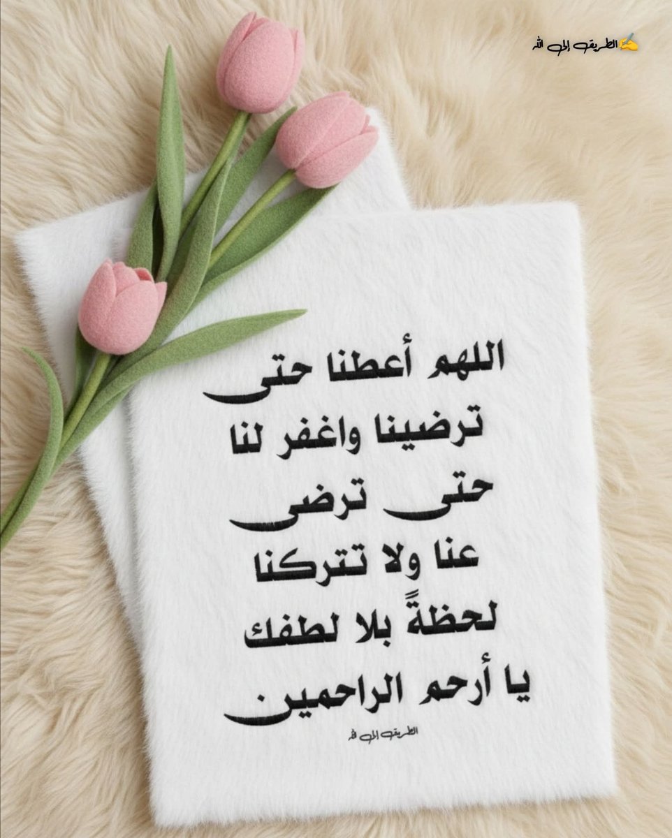 صالحه الحربي tweet media