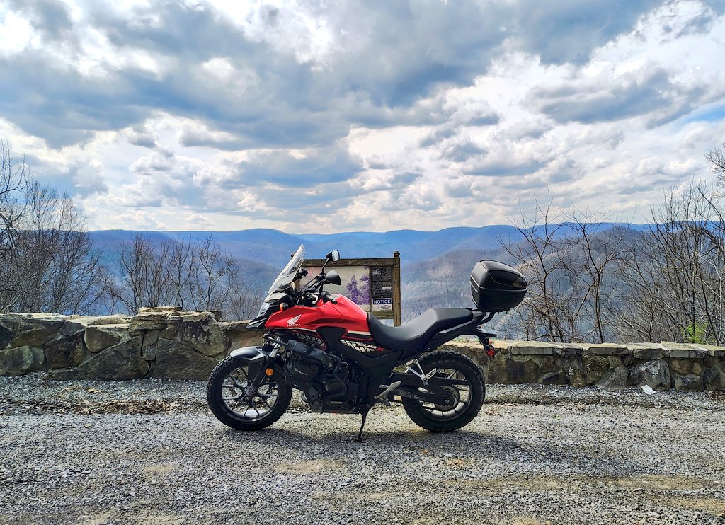 Whale Psychiatrist ™️ tweet media