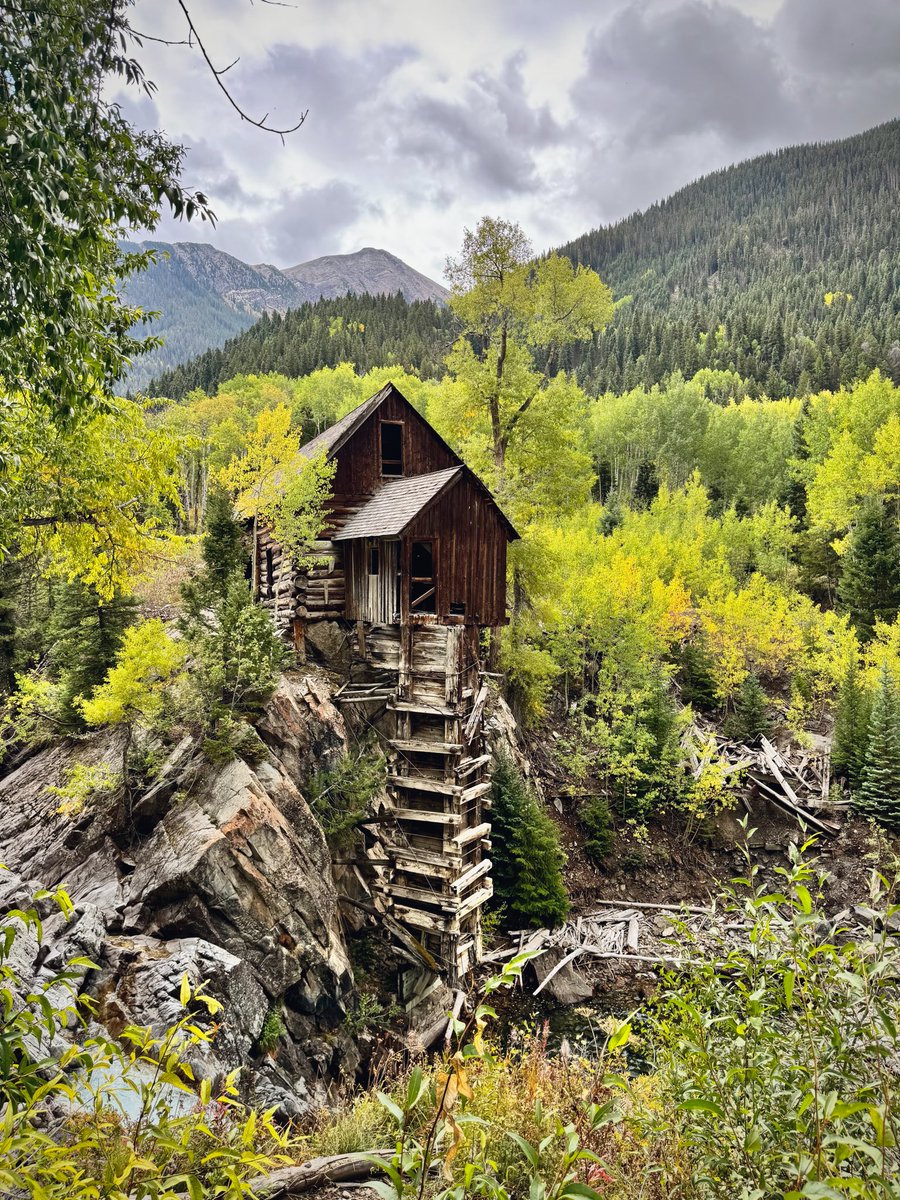 D Miller tweet media