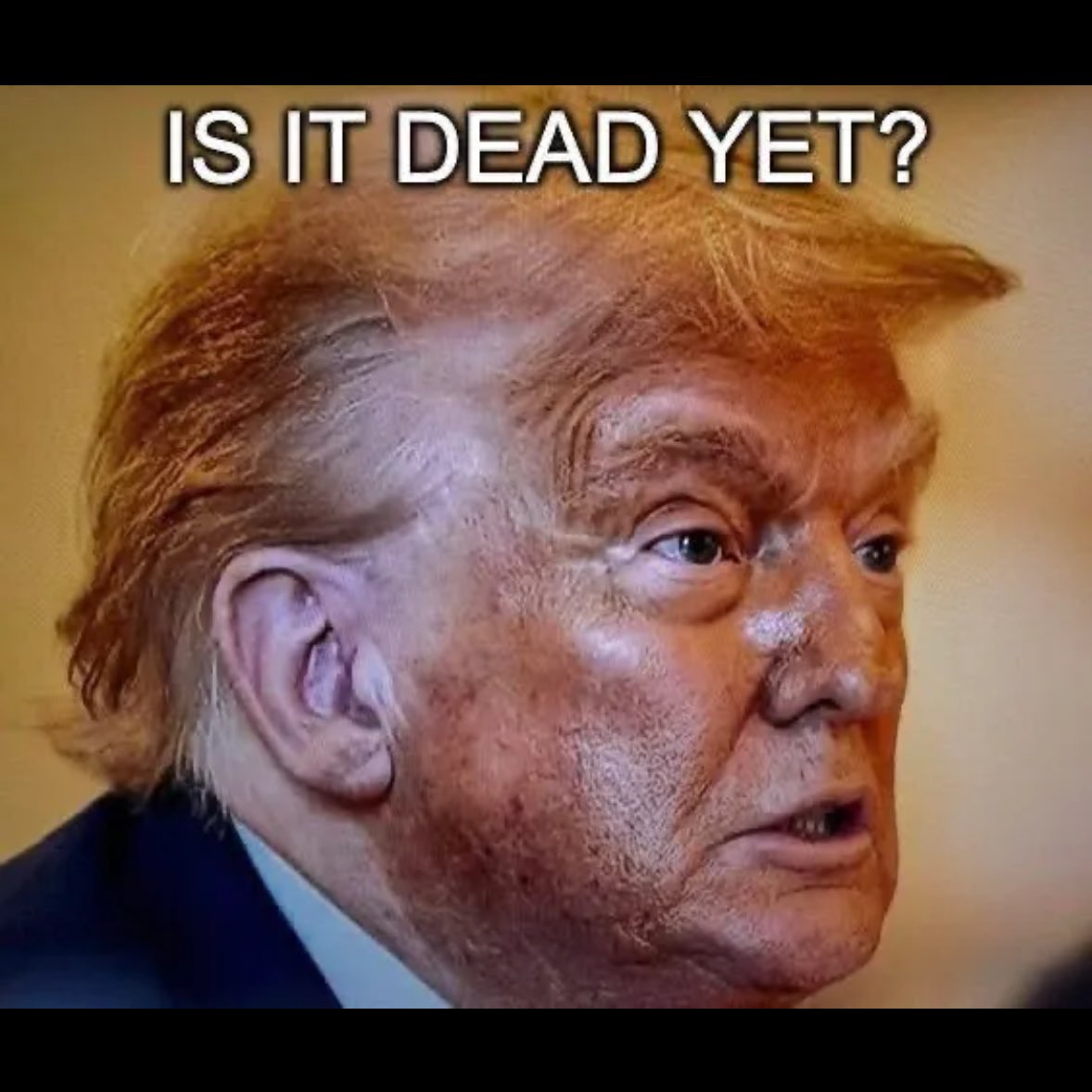 Sarah Larchmont tweet media