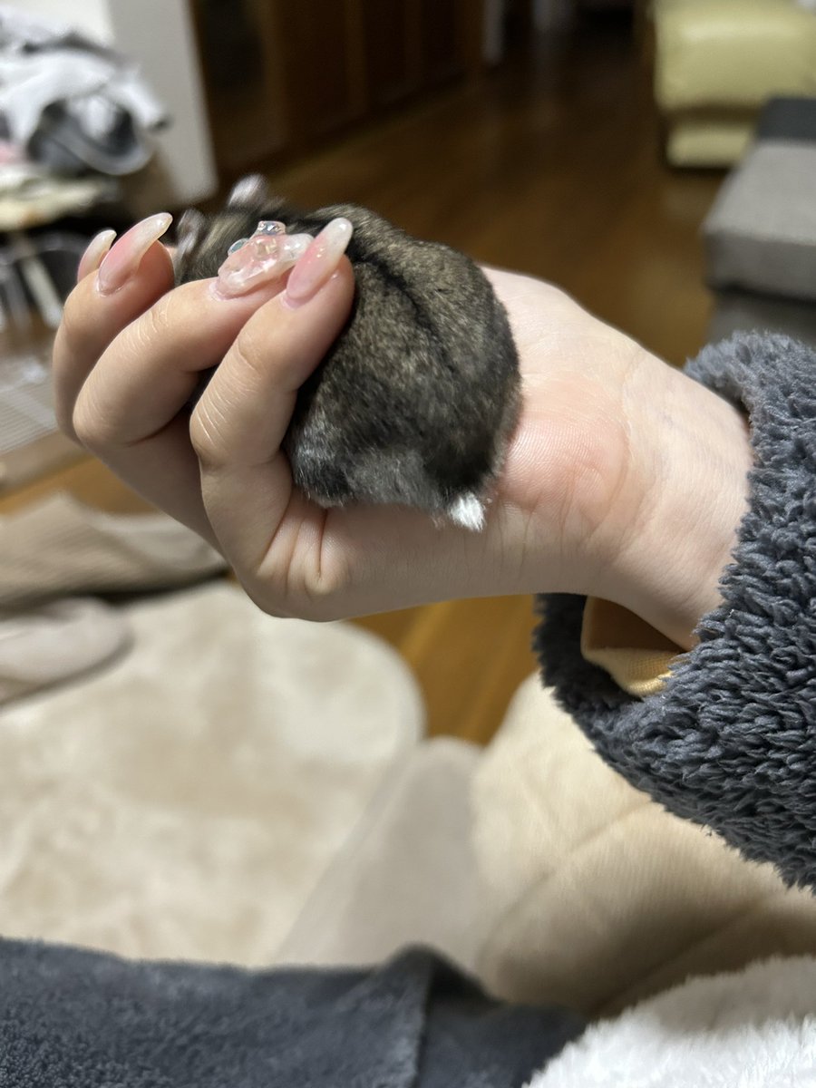 おおの tweet media