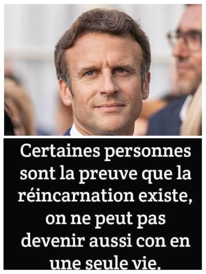 Patrick Jardin tweet media