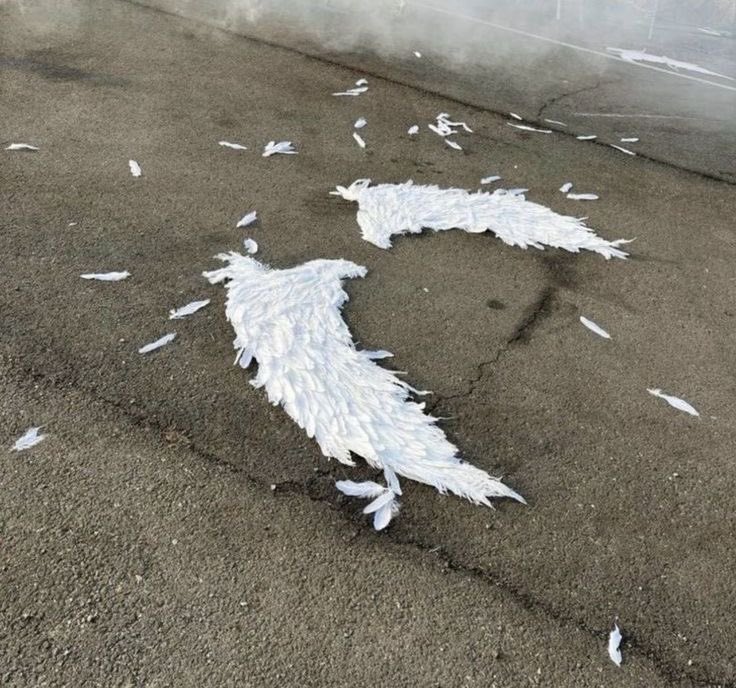 pgp hub ⋆˙⟡ tweet media