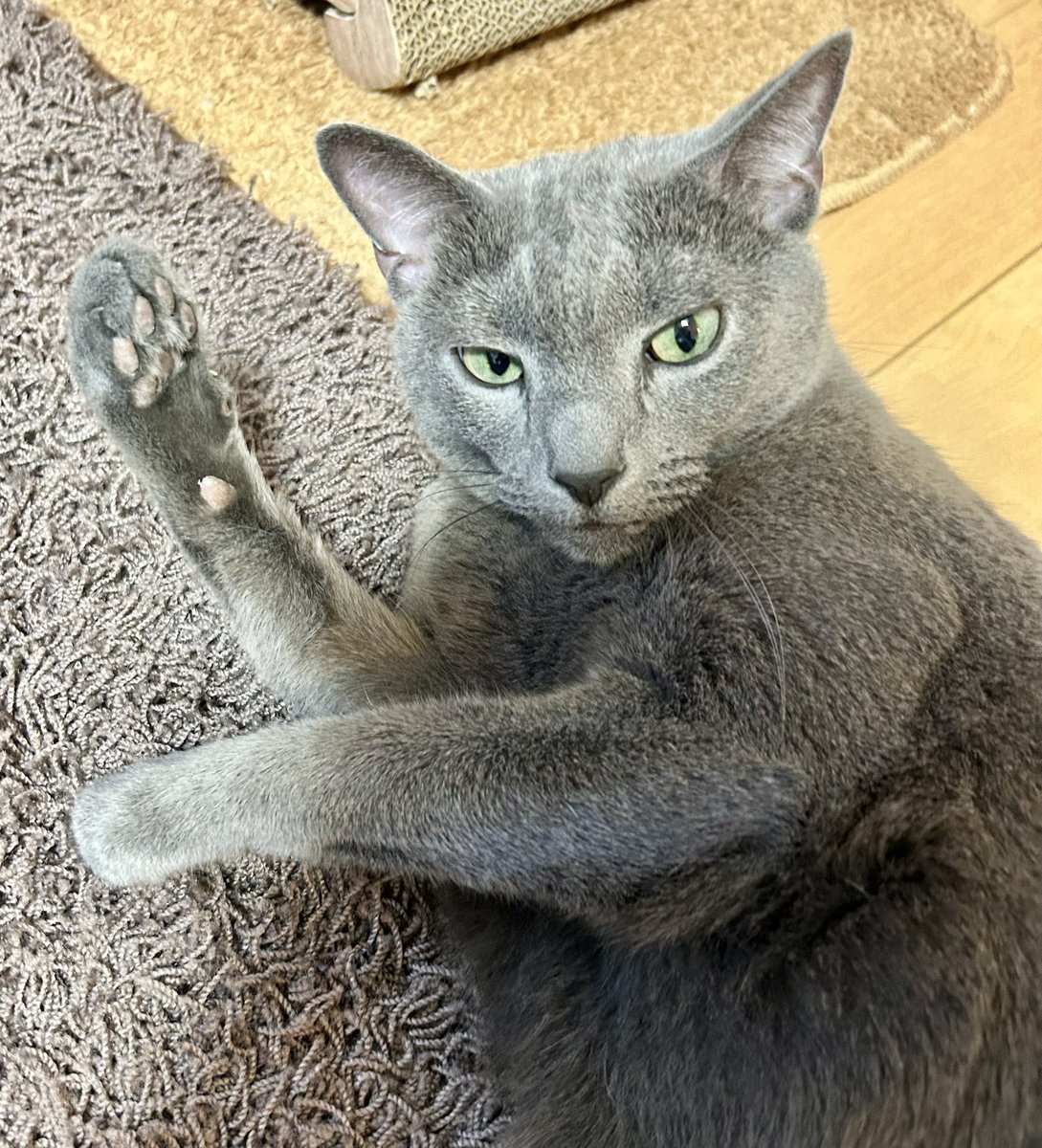 りおん tweet media