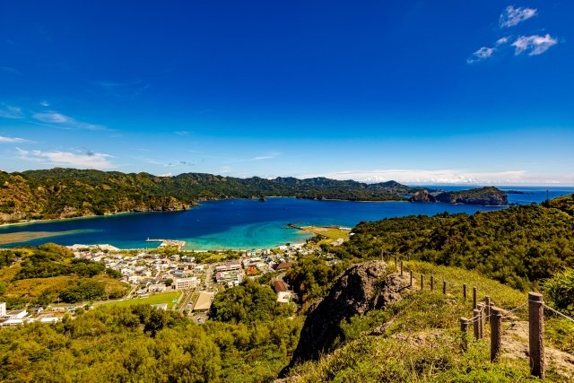 𝕪𝕦𝕦𝕜𝕠🌼*ﾟ〜be happy everyone🍀〜 tweet media