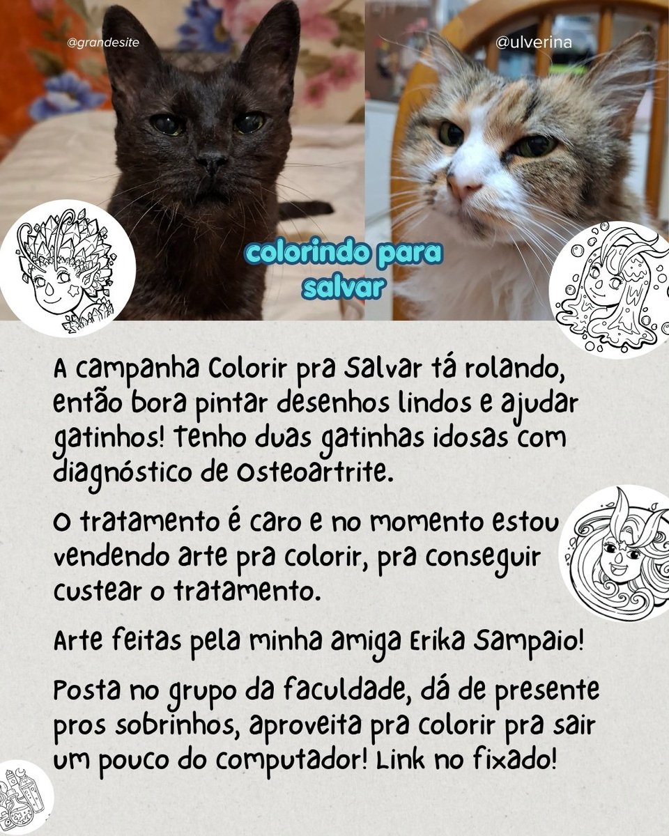 Ulverina 🍇 tweet media