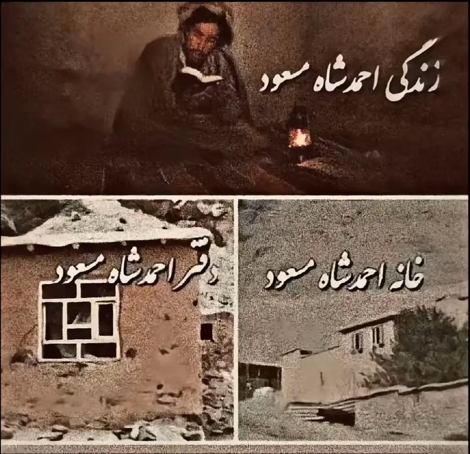 Dr. Sanam 🕊️صنم tweet media